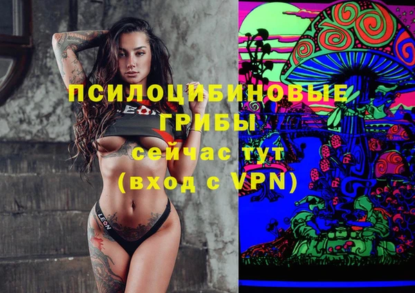 индика Осинники