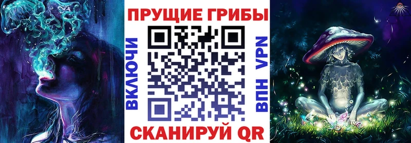 Псилоцибиновые грибы MAGIC MUSHROOMS  Купить где  Сердобск 